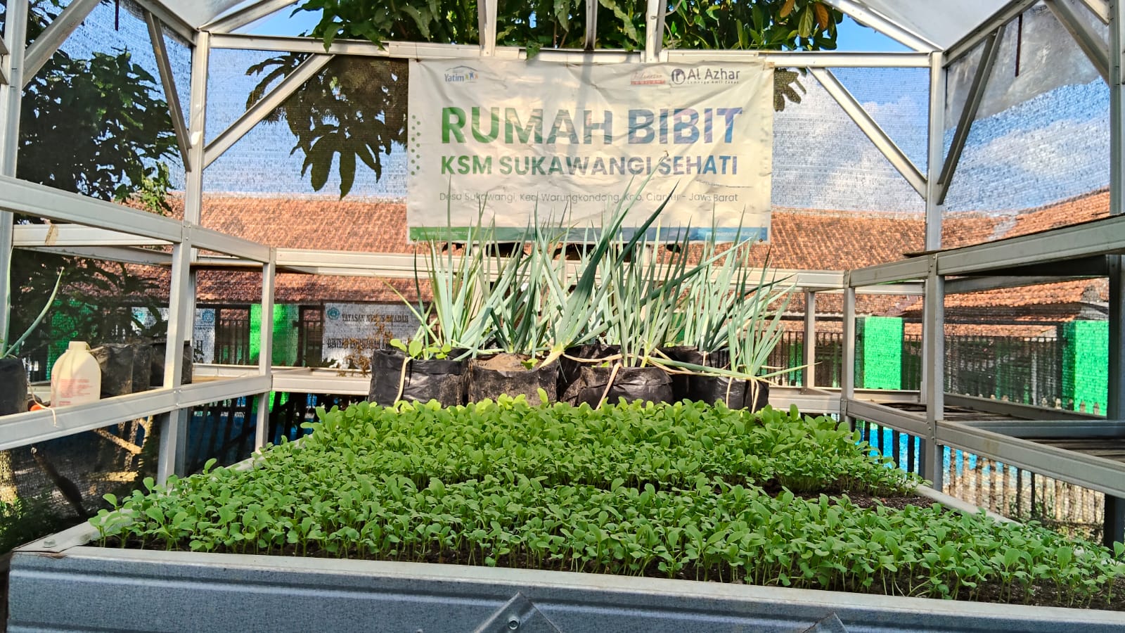 Rumah Bibit di Cianjur jadi Inspirasi Penghijauan Warga