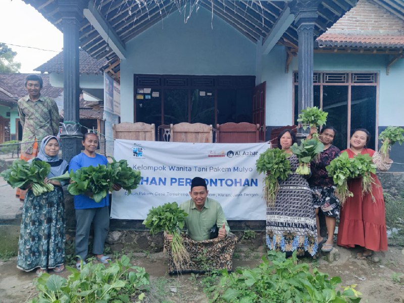 Panen Berkah dan Rapat Penuh Gagasan di KWT Pakem Mulyo Temuireng