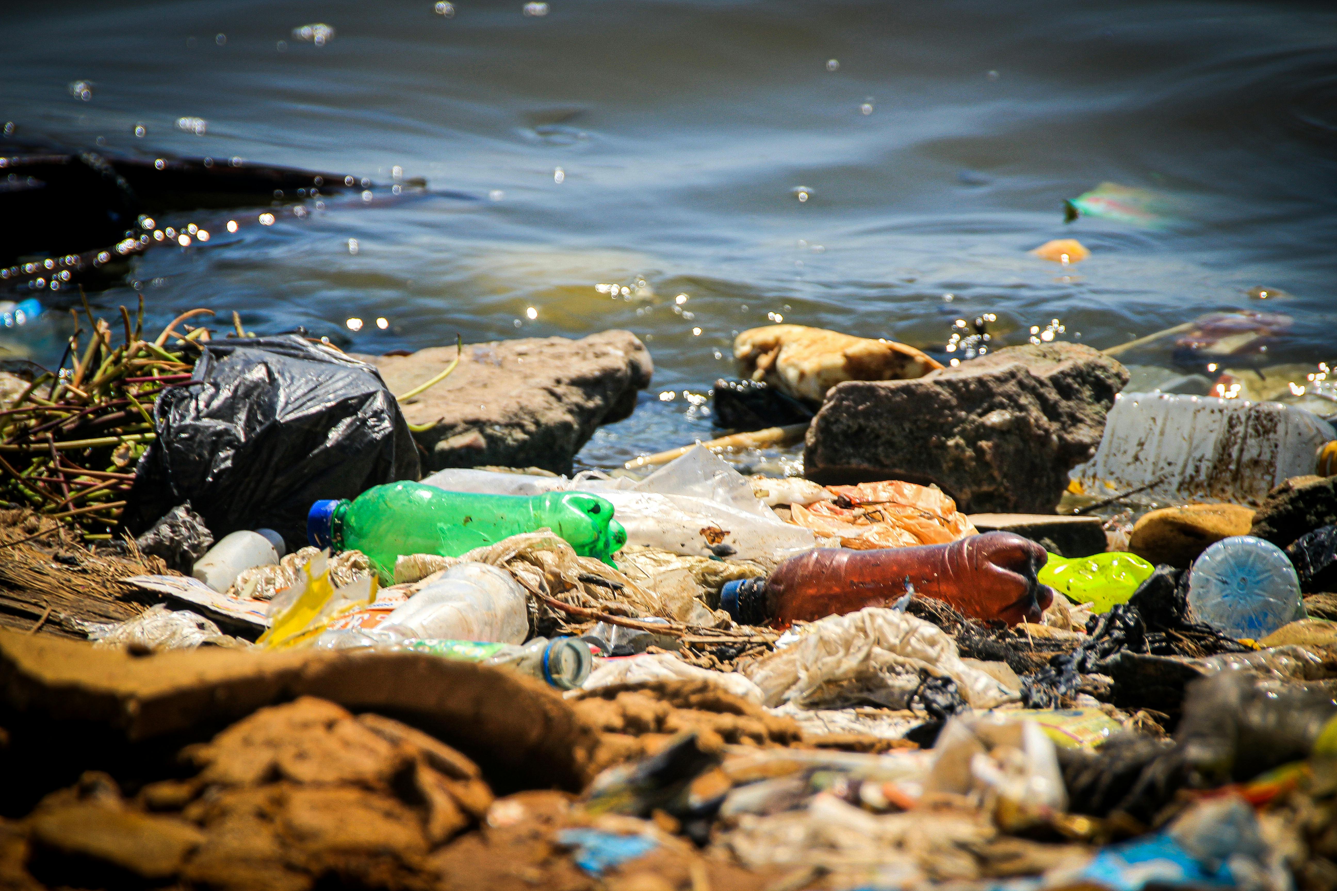 Sadar Lingkungan Rusak, tapi Masih Buang Sampah Sembarangan?