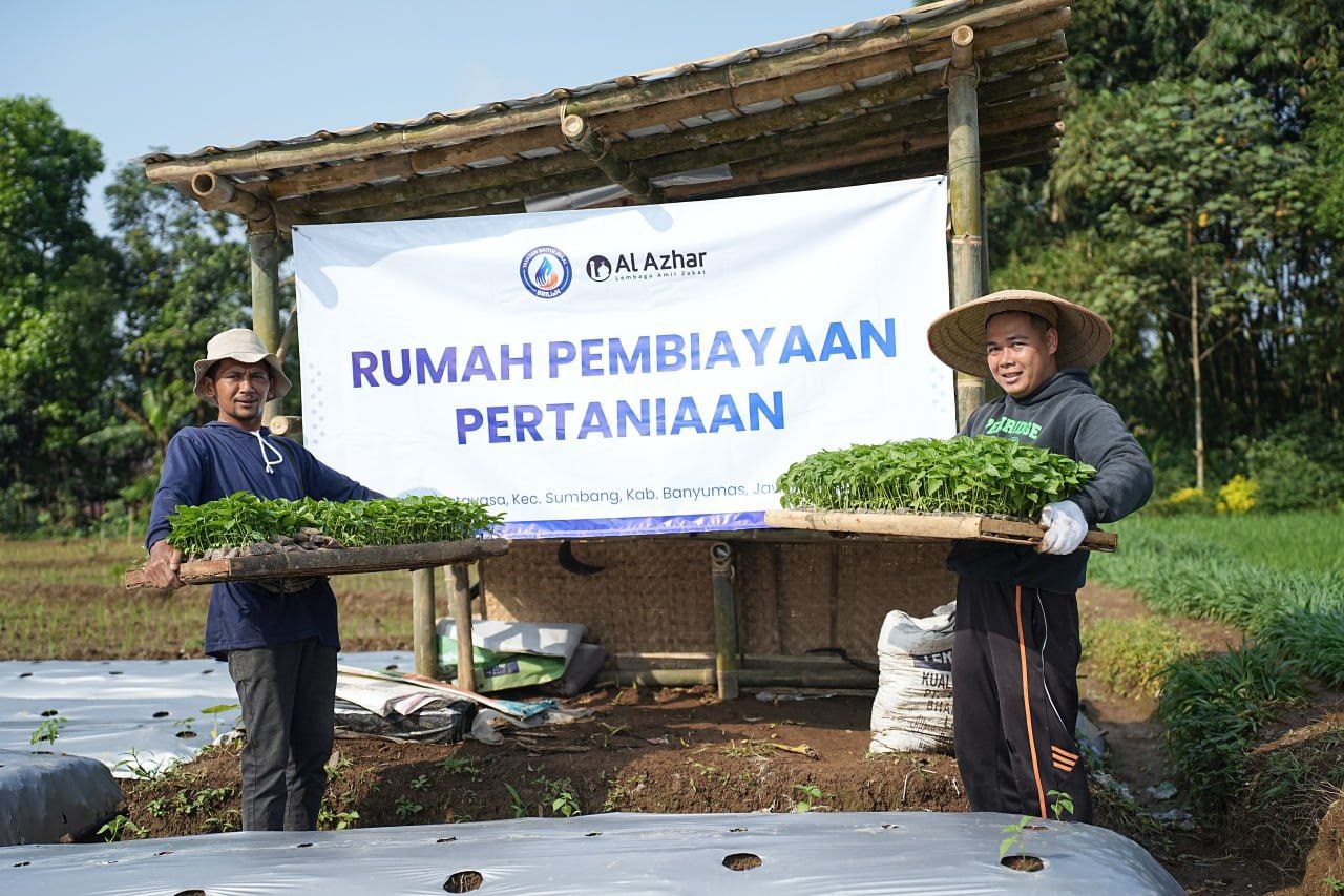 Bukan Sekadar Menanam, Petani Kotayasa Sedang Mengubah Nasibnya Sendiri