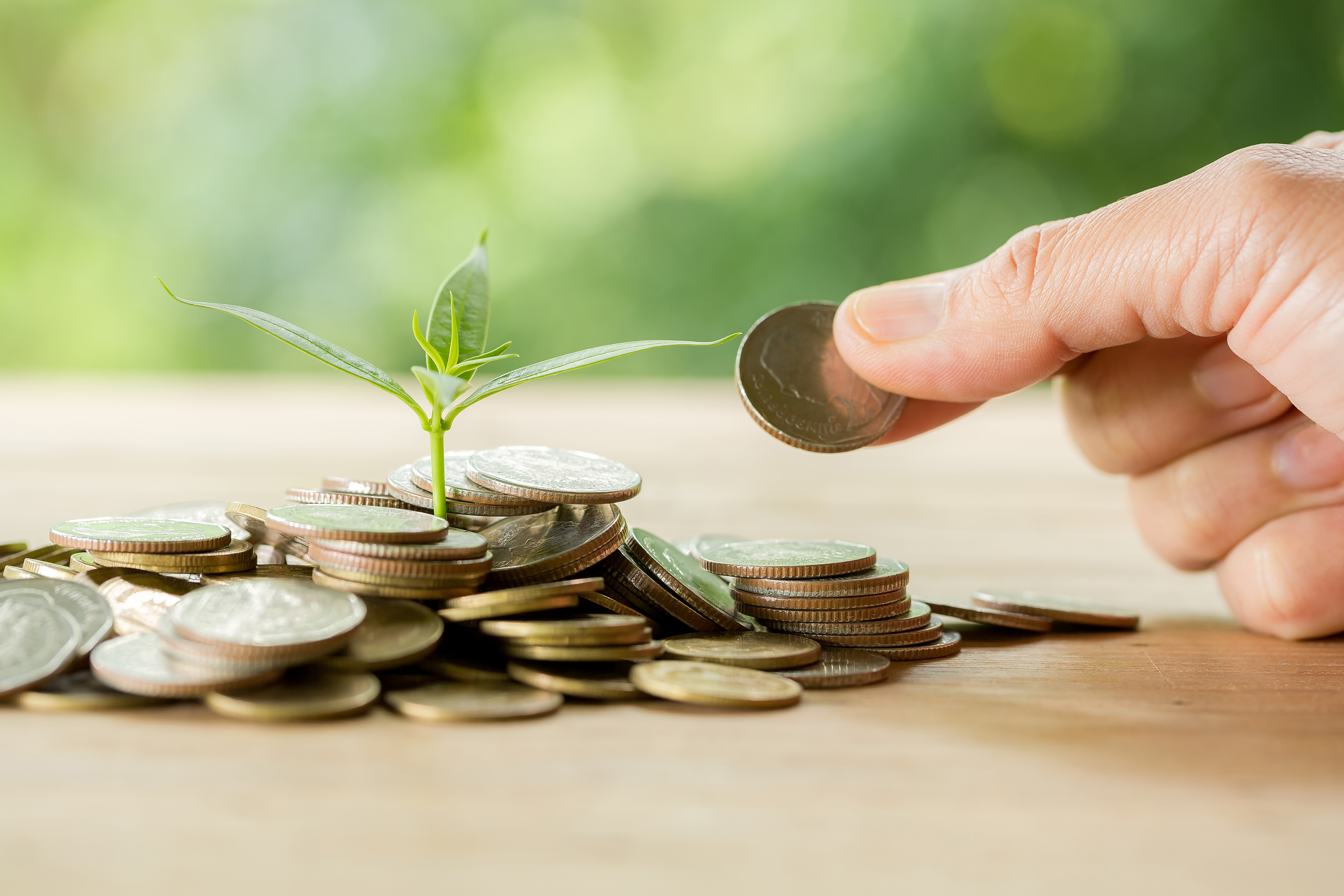 Zakat: Amal yang Terus Hidup Hingga Akhir Hayat